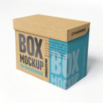 Flip-top hinged lid box C008-1